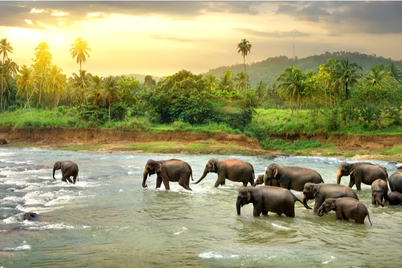 Wildlife & Waterfalls